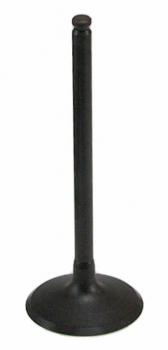 jaguar x-type 2006 Engine Intake Valve V4596