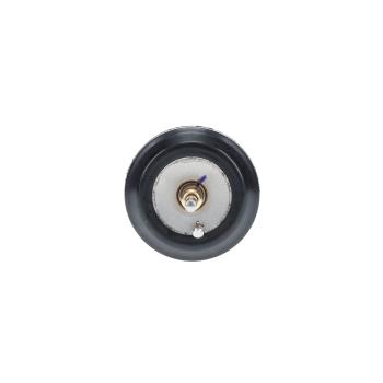 2013 Audi A5 Engine Coolant Thermostat