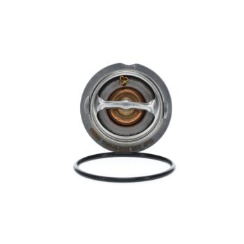 2010 Audi A5 Engine Coolant Thermostat