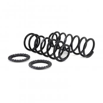 2009 Lexus GX470 Air Spring to Coil Spring Conversion Kit Rear Arnott C2410 image 2 of 4