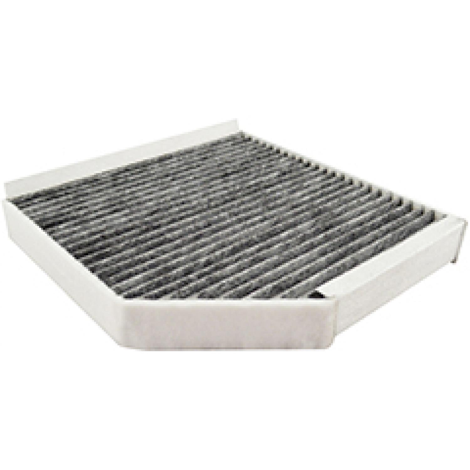 Baldwin PA10138 Cabin Air Filter product image 1 of 1