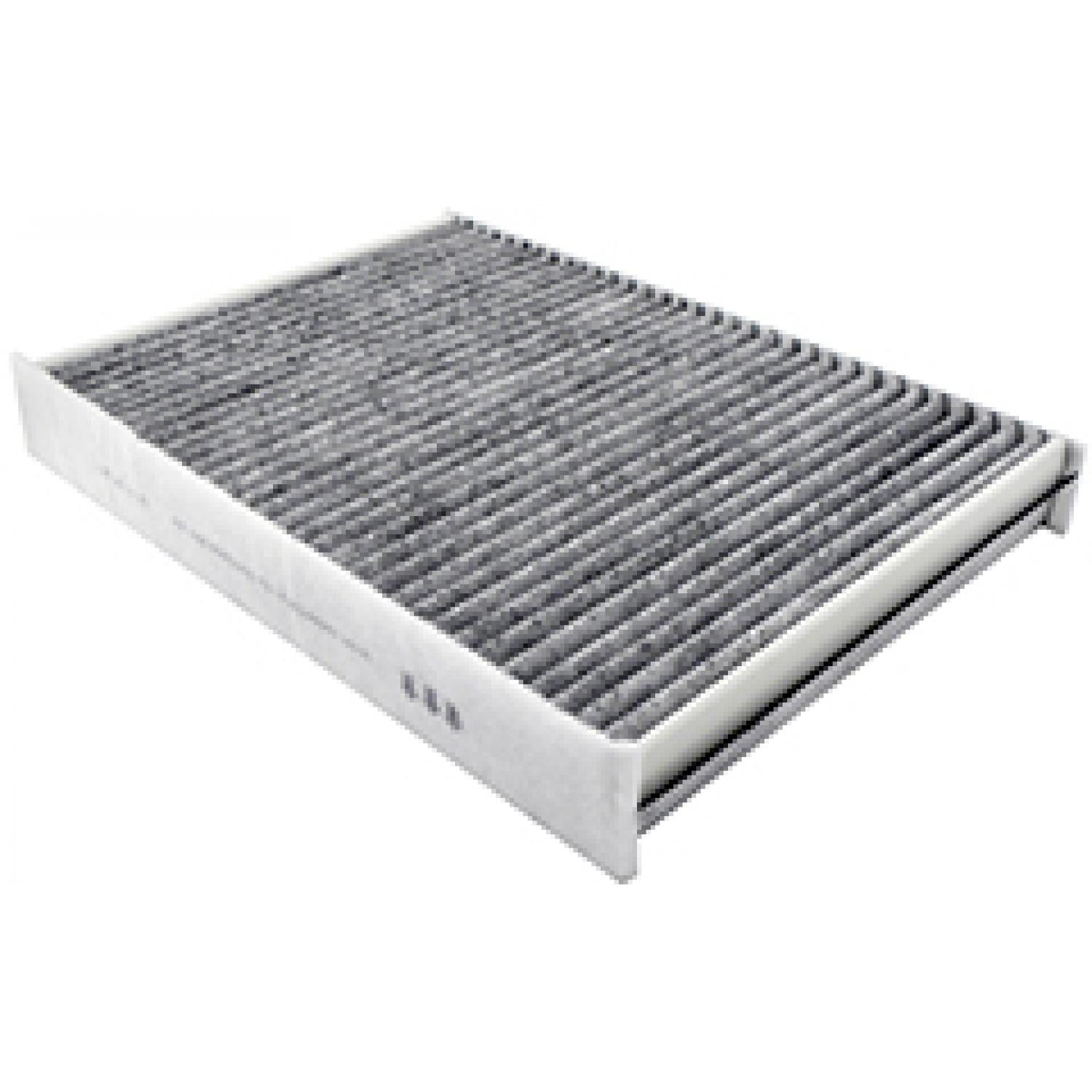 Baldwin PA10172 Cabin Air Filter product image 1 of 1