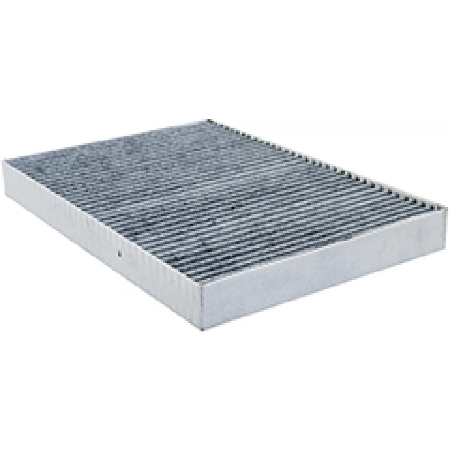 Baldwin PA10189 Cabin Air Filter product image 1 of 1
