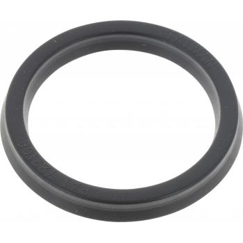 1979 Dodge W150 Axle Spindle Seal