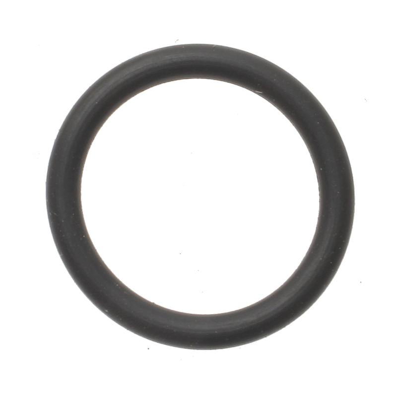 BWD 274783 Fuel Injection Pressure Regulator O-Ring product image 1 of 1