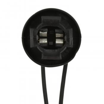 1994 Ford F-150 Courtesy Light Socket BWD PT2236 image 3 of 3