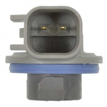 2006 Dodge Ram 2500 License Lamp Socket BWD PT2278 image 3 of 4