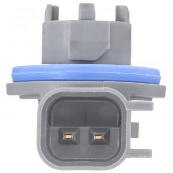 2006 Dodge Ram 2500 License Lamp Socket BWD PT2278 image 4 of 4