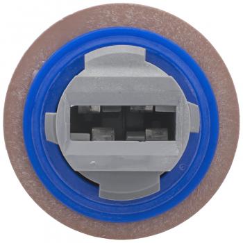 2015 Ford F-150 Turn Signal Light Socket Front BWD PT2373 image 3 of 4