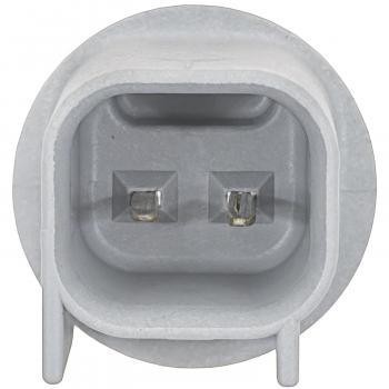 2006 Ford Taurus License Lamp Socket
