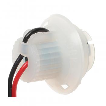 1988 Nissan Pathfinder Tail Lamp Socket BWD PT294 image 1 of 3