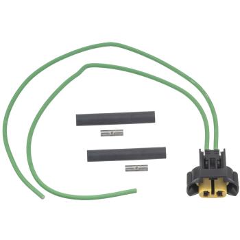 2021 Ford Bronco Fog Lamp Socket BWD PT3041 image 3 of 4