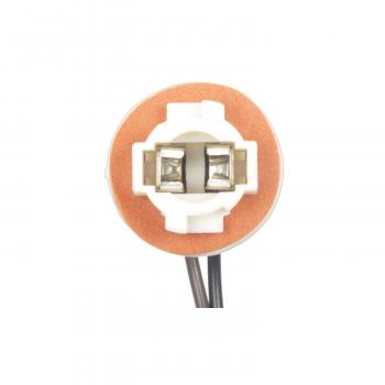 1994 Ford Ranger License Lamp Socket BWD PT5603 image 2 of 4