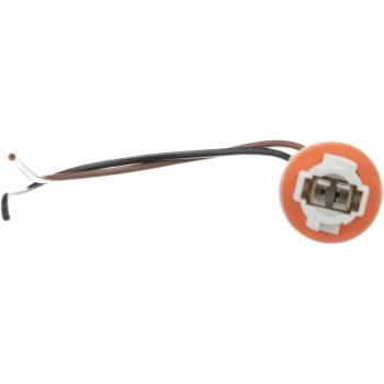 1994 Ford Ranger License Lamp Socket BWD PT5603 image 4 of 4