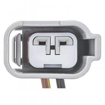 2006 Ford F-150 Side Marker Lamp Socket Connector BWD PT5788 image 3 of 4