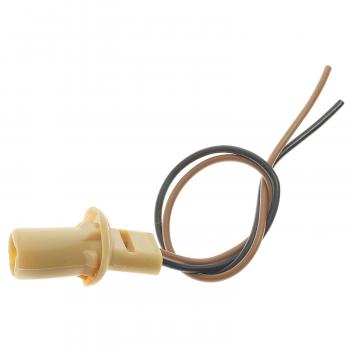 1987 Buick Riviera Combination Lamp Socket BWD PT80 image 2 of 3