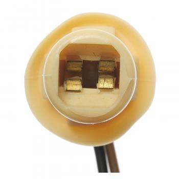 1987 Buick Riviera Combination Lamp Socket BWD PT80 image 3 of 3