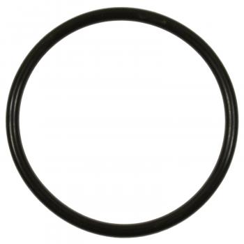 2008 Mazda CX-7 Fuel Pump O-Ring