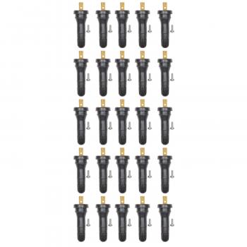 2013 Lincoln MKS Tire Pressure Monitoring System Valve Kit BWD TPM950K4 image 2 of 3