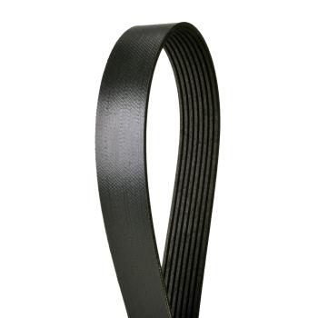 2009 International CF600 Serpentine Belt