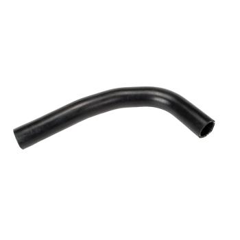 2015 Kia Rio Radiator Coolant Hose