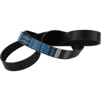 2001 Peterbilt 379 Serpentine Belt Fan, Alternator and Idler Dayco 5080750SC image 1 of 2