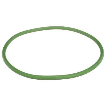 2020 Cadillac Escalade Fuel Pump Tank Seal