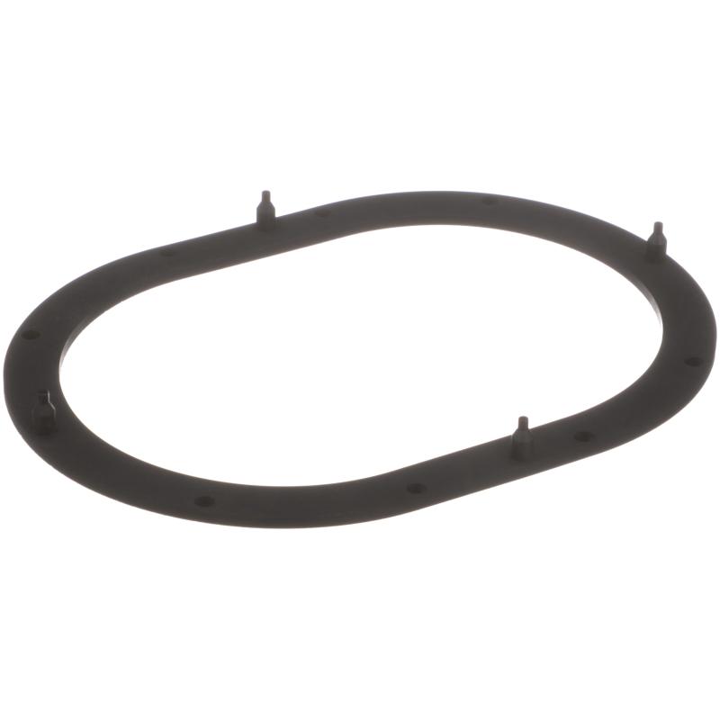 Delphi FA10039 Fuel Pump Tank Seal product image 1 of 7