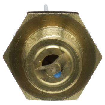 1987 Ford E-150 Econoline Air Charge Temperature Sensor Delphi TS10557 image 4 of 4