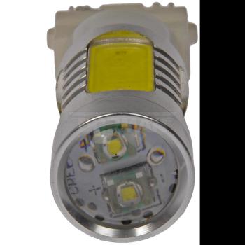 1998 Pontiac Sunfire Back Up Light Bulb Dorman 3156WHP image 2 of 3