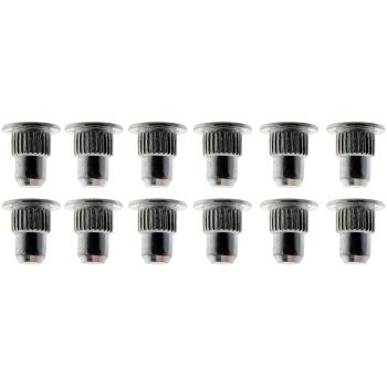 Dorman Alignment Guide Pin product image