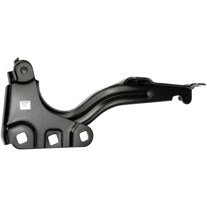 Dorman 820539 Hood Hinge product image 1 of 4
