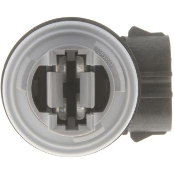 2004 Ford Excursion Parking Light Bulb Socket Right Dorman 84764 image 3 of 3