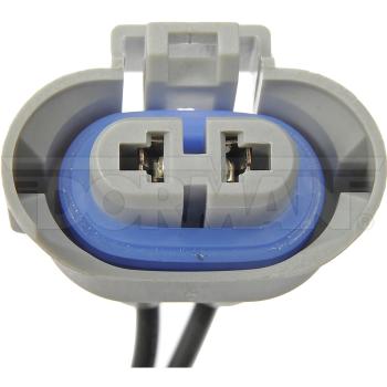 2005 Pontiac G6 Headlight Socket Dorman 84784 image 4 of 4