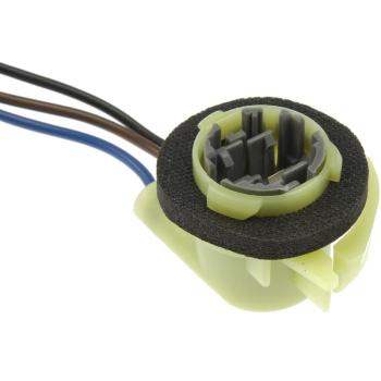 2000 GMC Jimmy Tail Lamp Socket Dorman 85882 image 2 of 3