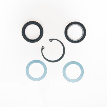1979 Dodge W150 Steering Gear Pitman Shaft Seal Kit