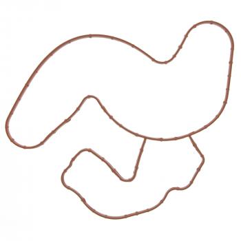 2022 Ram 1500 Classic Engine Water Pump Gasket