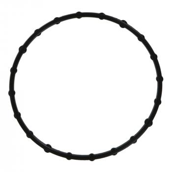 2008 Ford Edge Engine Oil Filter Adapter Seal