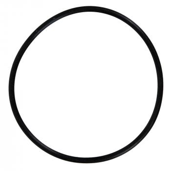 2006 GMC Sierra 2500 HD Fuel Injection Plenum O-Ring Fel-Pro 72946 image 1 of 1