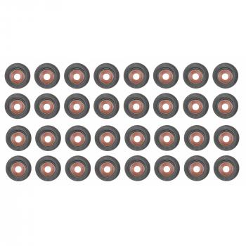 2010 Ford F-350 Super Duty Engine Valve Stem Oil Seal Set