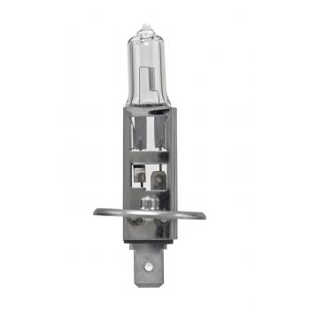 2003 Mercury Marauder Fog Light Bulb Front HELLA H1P50TB image 1 of 2