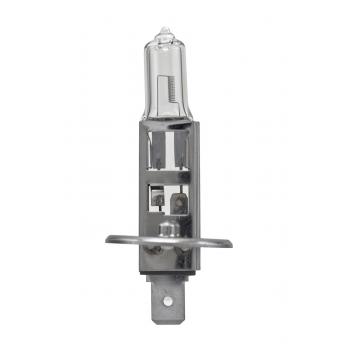 2003 Mercury Marauder Fog Light Bulb Front HELLA H1TB image 1 of 2