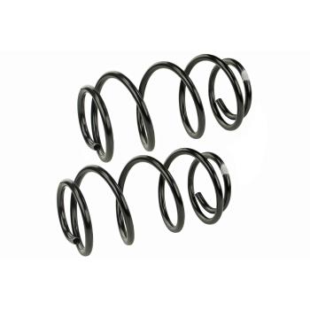 2008 Cadillac DTS Coil Spring Set