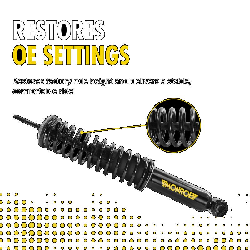 Monroe 90032C3 Air Spring to Coil Spring Conversion Kit product image 3 of 6