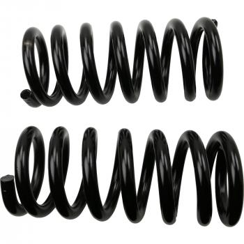 2005 Chevrolet Blazer Coil Spring Set Front Moog 80994 image 2 of 2