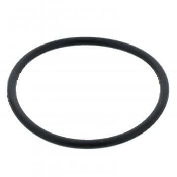 2019 Ford Transit-150 Engine Coolant Thermostat Seal MotoRad MG1006EA image 1 of 2