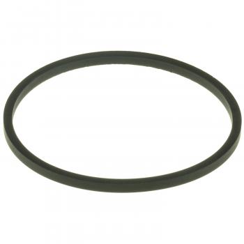 2002 Ford E-550 Econoline Super Duty Engine Coolant Thermostat Seal Lower MotoRad MG186EA image 1 of 2