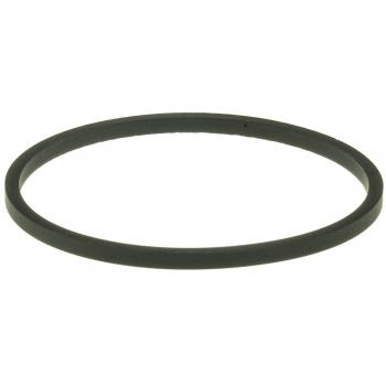 2002 Ford E-550 Econoline Super Duty Engine Coolant Thermostat Seal Lower MotoRad MG186EA image 2 of 2