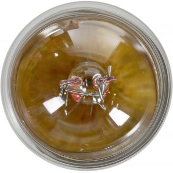 1990 Dodge Caravan Glove Box Light Bulb Philips 1891B2 image 2 of 4