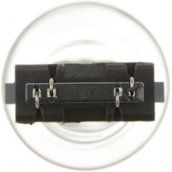 2013 Chevrolet Cheyenne Tail Light Bulb Philips 3047LLB2 image 3 of 4